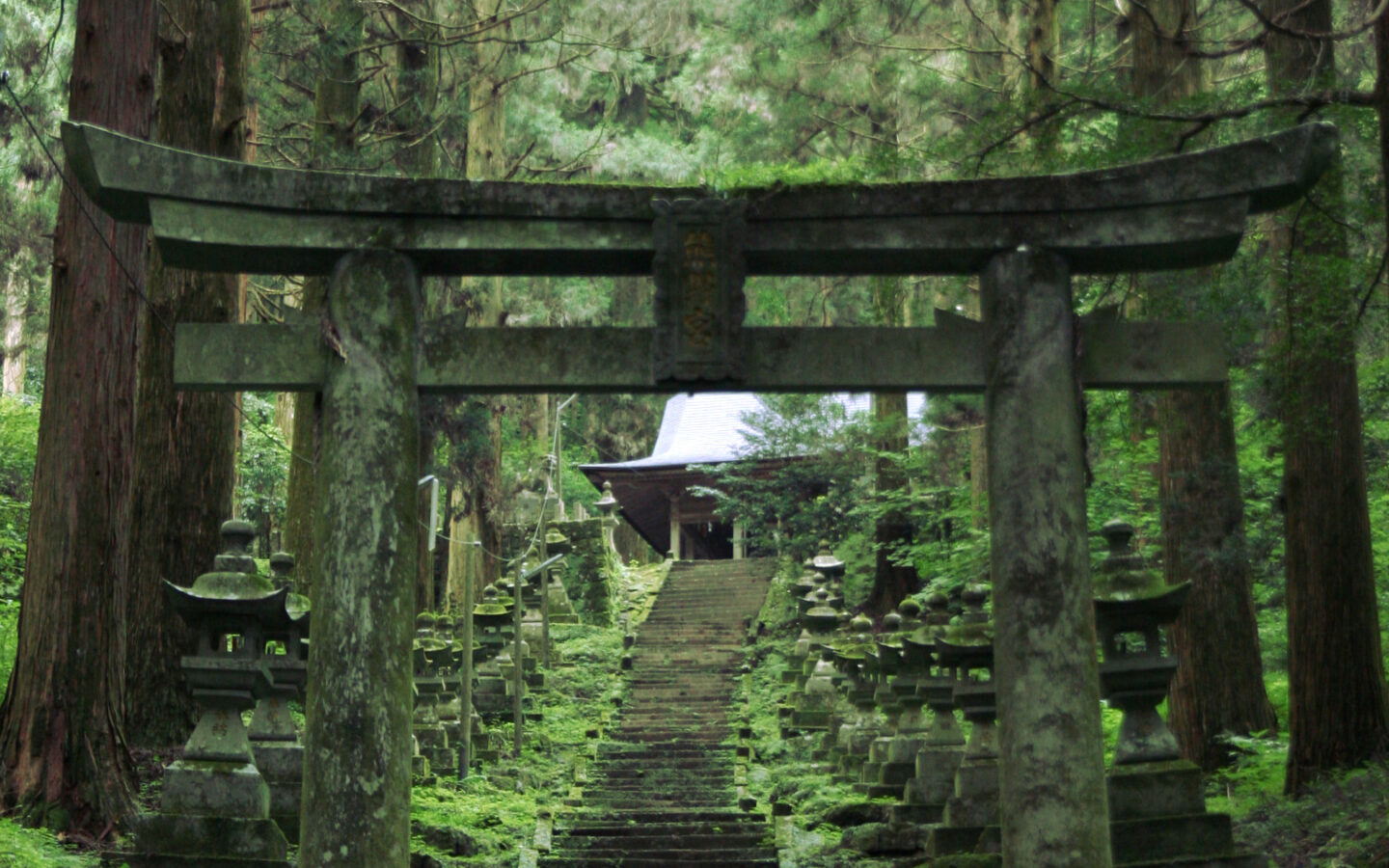 ガジェットが今注目される理由と選び方：特徴・向き不向き・今後の見どころを短く整理（初心者〜興味がある人向け）