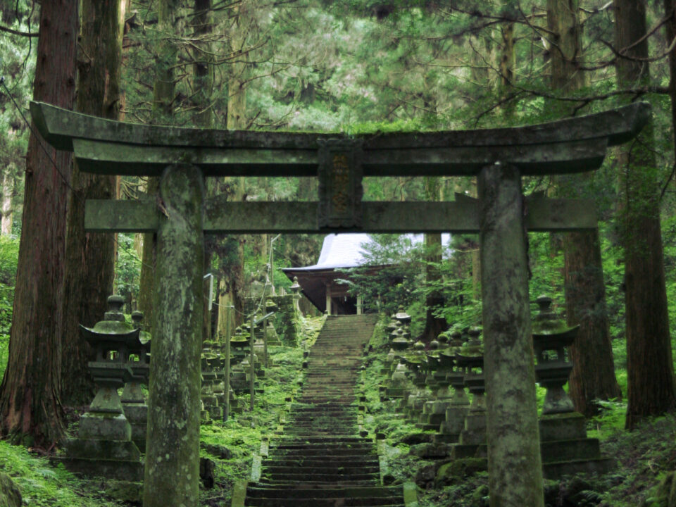 ガジェットが今注目される理由と選び方：特徴・向き不向き・今後の見どころを短く整理（初心者〜興味がある人向け）