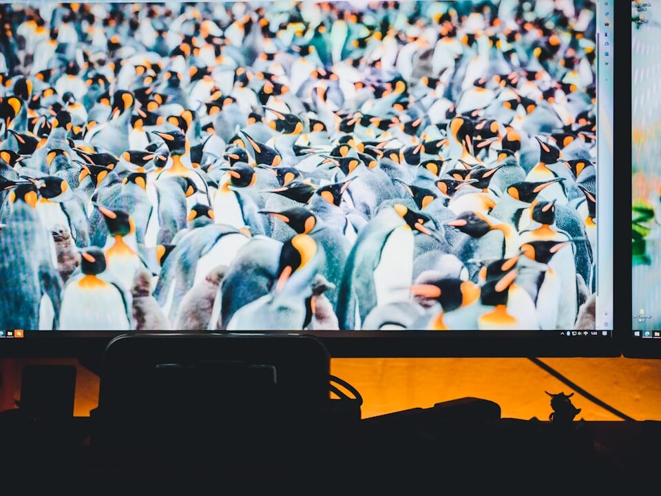 無料暇つぶしサイト5選を比較｜2026